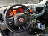  Fiat  Panda FIAT  / 2011 / 5P / BERLINA 1.2 69CV SeS E6D-TEMP EASY #3