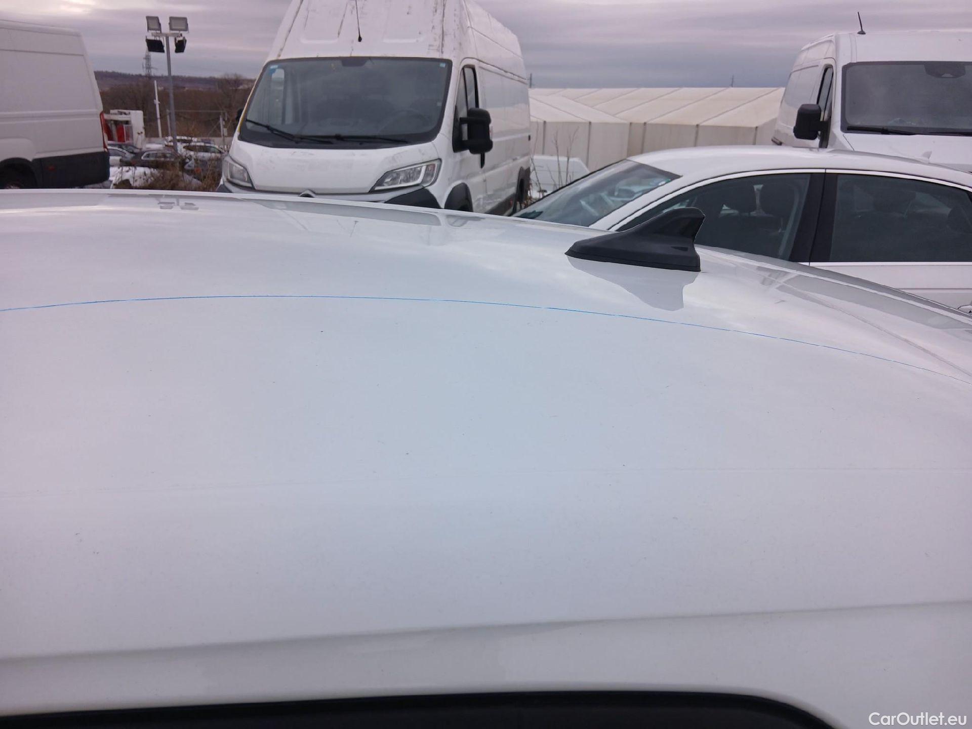  Volkswagen  Golf  VOLKSWAGEN / 2020 / 5P / berlina con portón 2.0 TDI 85kW (115CV) #15