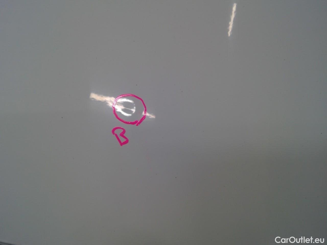  Ford  Transit Tr.Cus.TDCi 130 31 L1H1 A Tr. #11