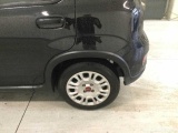  Fiat  Panda 1.0 FireFly 70cv S&S Hybrid Manual Petrol  5 #31