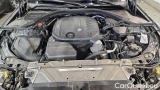  Bmw  Serie 3 320d xDrive Touring Automatic #11