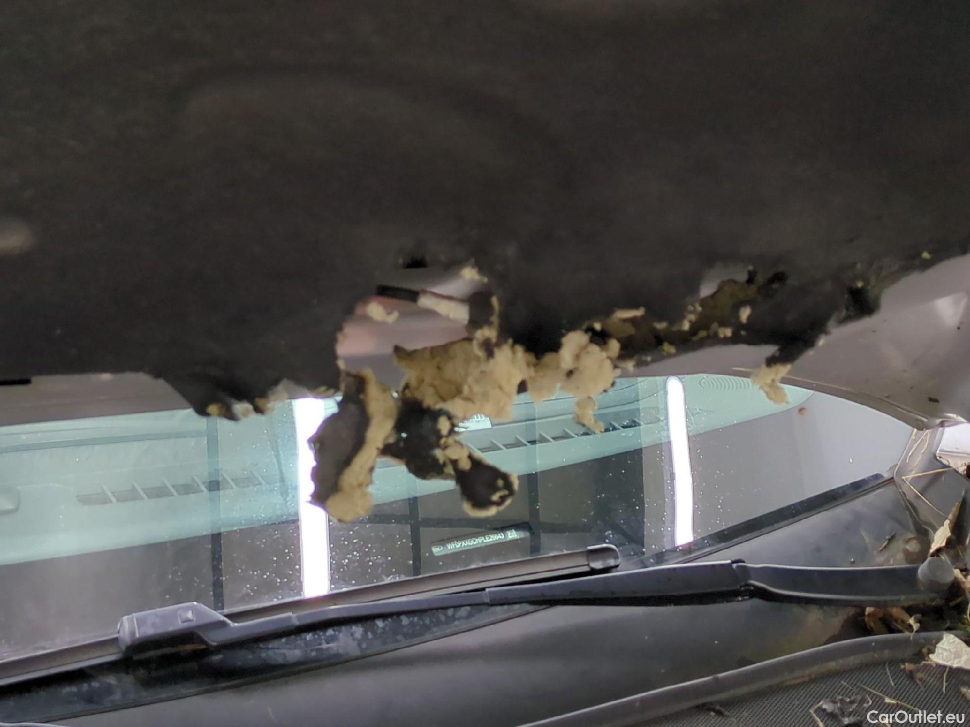  Ford  Focus FORD  SW / 2018 / 5P / Break SW-1.0 EcoBoost 125 mHEV Active Business #33