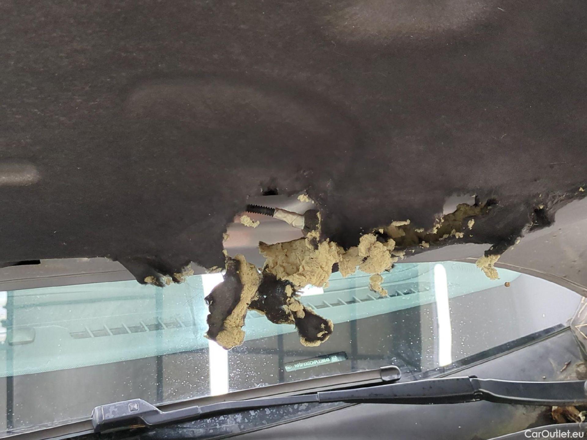  Ford  Focus FORD  SW / 2018 / 5P / Break SW-1.0 EcoBoost 125 mHEV Active Business #34