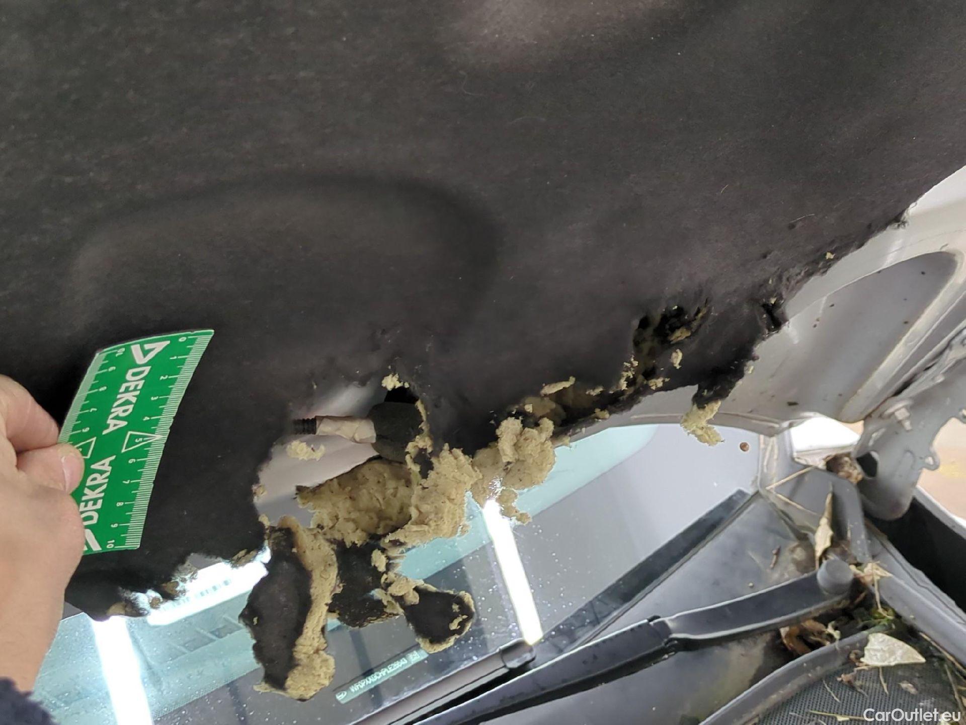  Ford  Focus FORD  SW / 2018 / 5P / Break SW-1.0 EcoBoost 125 mHEV Active Business #31