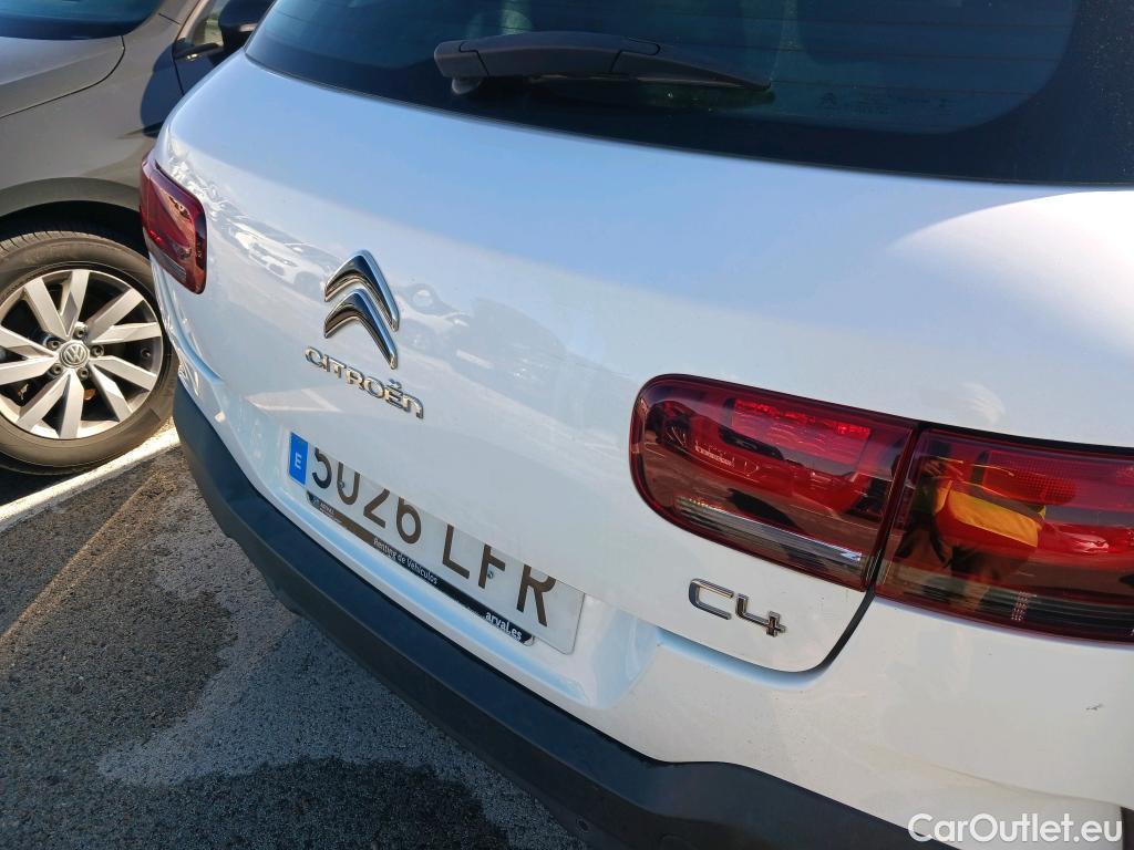  Citroen  C4 Cactus CITROEN  / 2018 / 5P / berlina con portón BlueHDi 100 S&S Feel #3