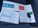  Citroen  C4 Cactus CITROEN  / 2018 / 5P / berlina con portón BlueHDi 100 S&S Feel #9
