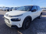 C4 Cactus