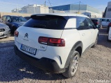 C4 Cactus