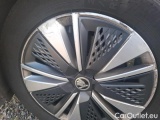  Skoda  Karoq 2.0 TDI 116 DSG7 BUSINESS #91