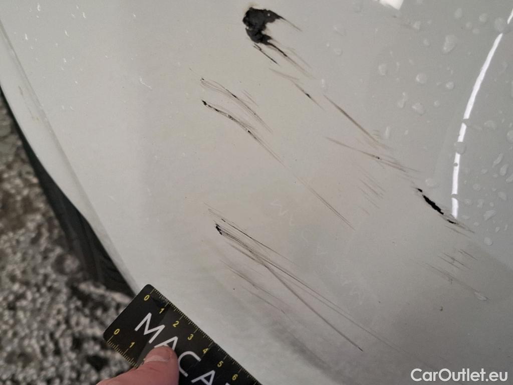  Renault  Megane  IV Berline 5pt. Société Air 1.5 dCi 90CV BVM6 E6 #24