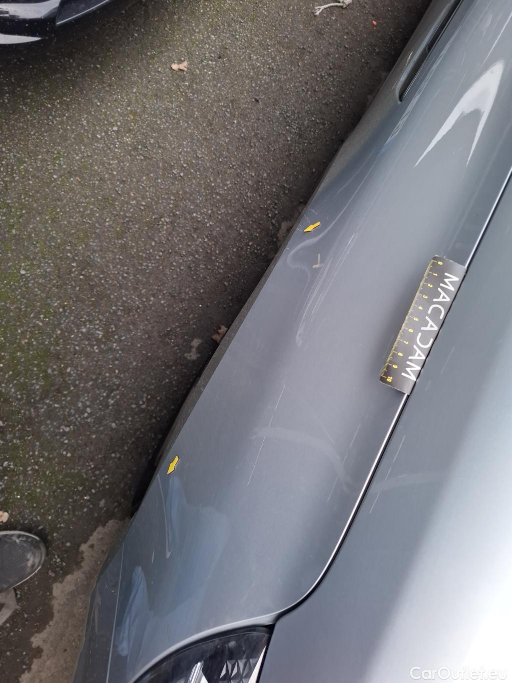  Renault  Megane  IV Estate Business 1.5 dCi 115CV BVA7 E6d / TRANSFO VP/VF #13