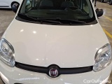  Fiat  Panda FIAT  / 2011 / 5P / BERLINA 1.0 70CV SeS HYBRID #24
