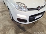  Fiat  Panda FIAT  / 2011 / 5P / BERLINA 1.0 70CV SeS HYBRID #26