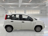  Fiat  Panda FIAT  / 2011 / 5P / BERLINA 1.0 70CV SeS HYBRID #7