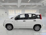  Fiat  Panda FIAT  / 2011 / 5P / BERLINA 1.0 70CV SeS HYBRID #8