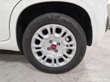  Fiat  Panda FIAT  / 2011 / 5P / BERLINA 1.0 70CV SeS HYBRID #19