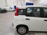 Fiat  Panda FIAT  / 2011 / 5P / BERLINA 1.0 70CV SeS HYBRID #47