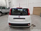  Fiat  Panda FIAT  / 2011 / 5P / BERLINA 1.0 70CV SeS HYBRID #57