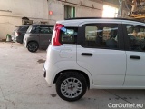  Fiat  Panda FIAT  / 2011 / 5P / BERLINA 1.2 69CV EASYPOWER E6 EASY #49