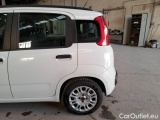  Fiat  Panda FIAT  / 2011 / 5P / BERLINA 1.2 69CV EASYPOWER E6 EASY #60
