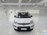  Fiat  Panda FIAT  / 2011 / 5P / BERLINA 0.9 TWINAIR TURBO 85CV SeS E6-TEMP 4X4 #6