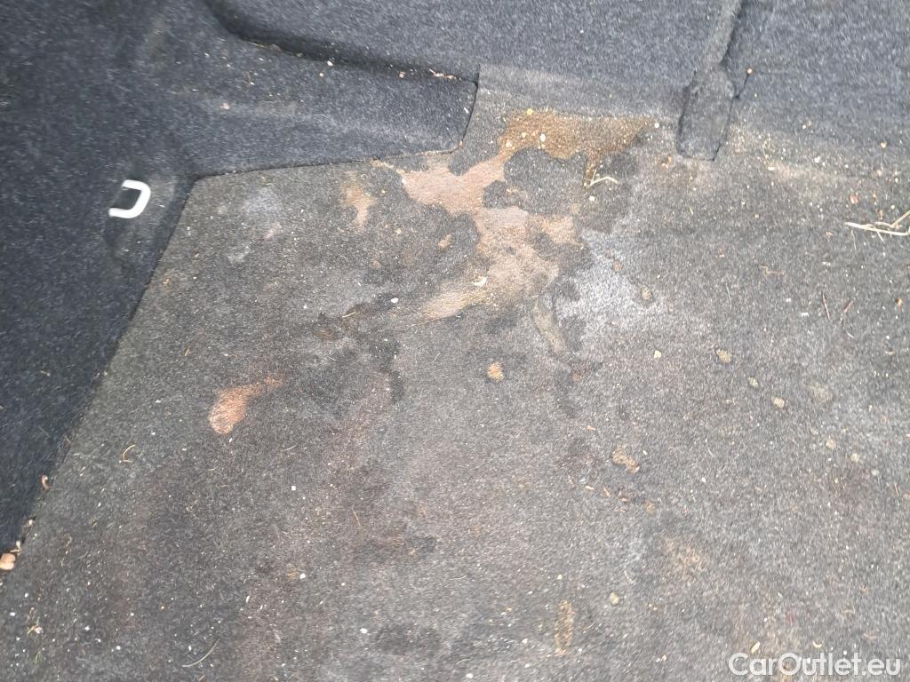  Skoda  KAMIQ SKODA  1.0 TSI 81kW (110CV) DSG Ambition #13