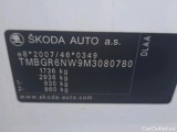  Skoda  KAMIQ SKODA  1.0 TSI 81kW (110CV) DSG Ambition #19