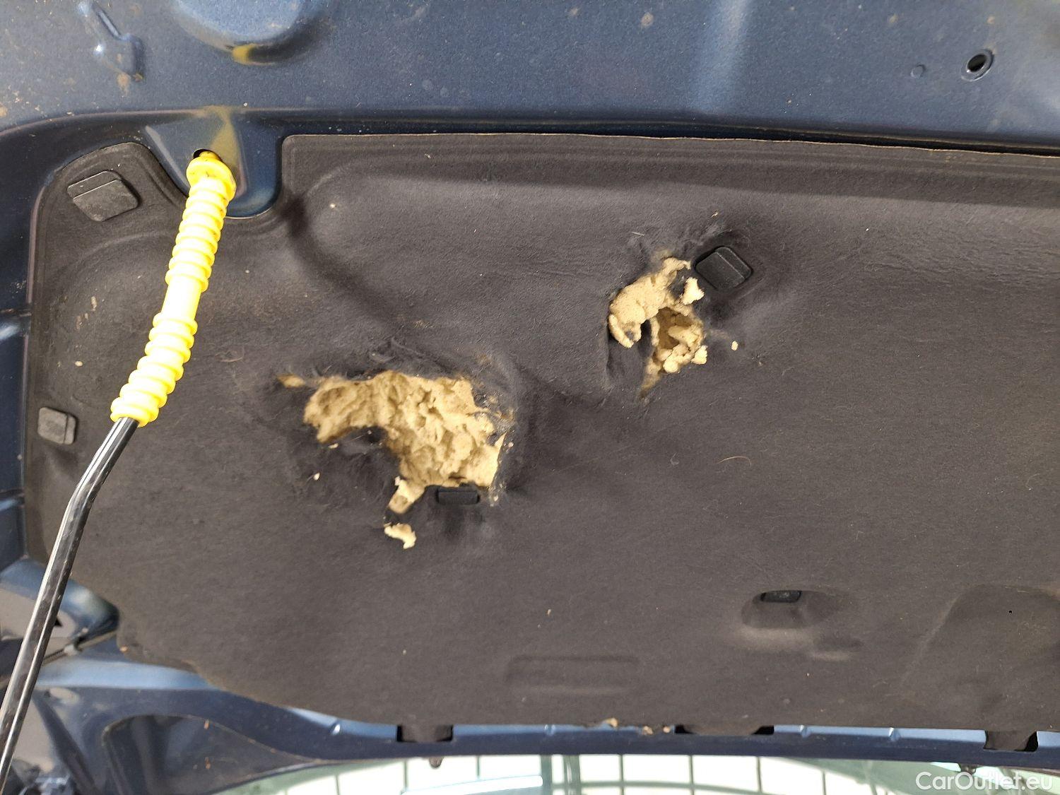  Ford  Focus Ford,  '18, Ford  1.0i EcoB. 74kW Trend Ed. Business 5d #11