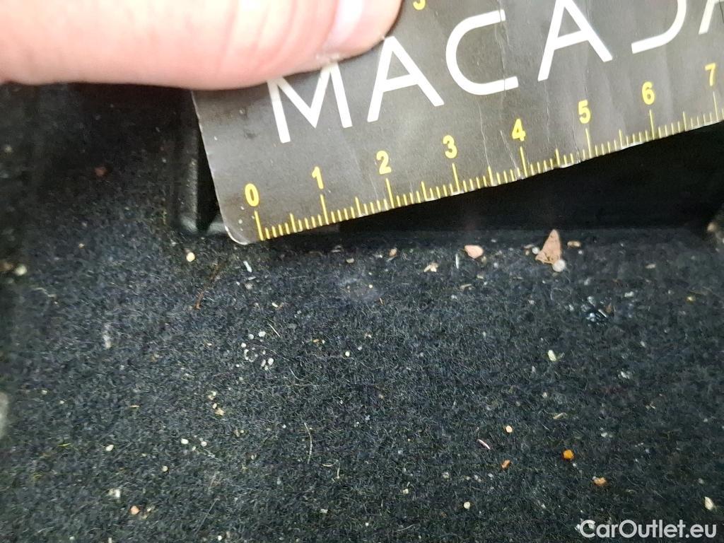  Ford  Focus  Break Trend Business 1.5 EcoBlue 95CV BVM6 E6dT #31