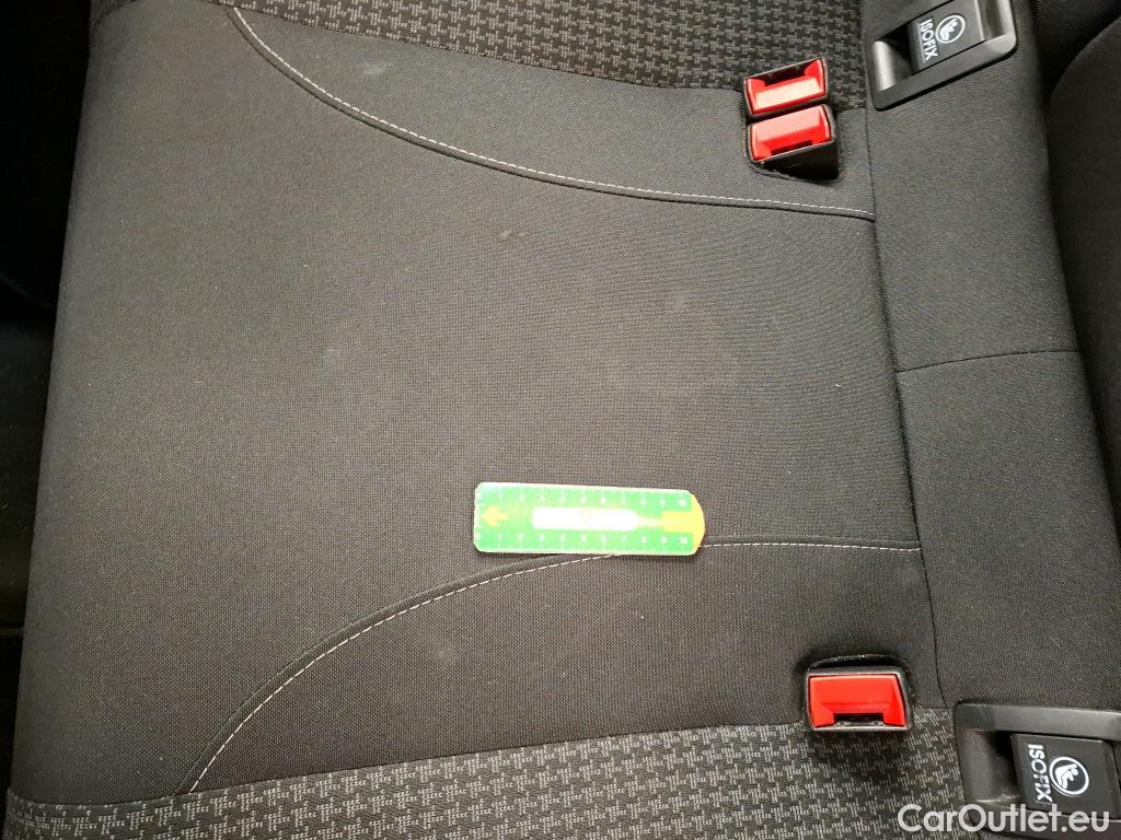  Peugeot  308  Active Business 1.5 HDI 100CV BVM6 E6dT #24