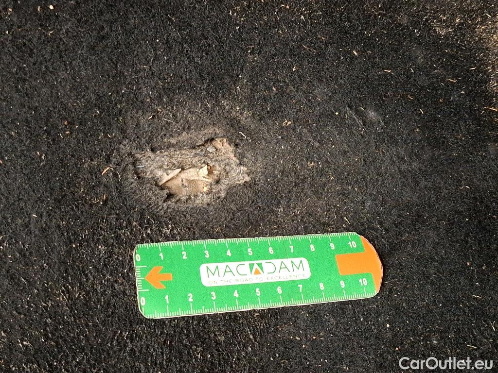  Skoda  Kodiaq  Business 2.0 TDI 150CV BVA7 E6d #4