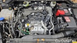  Ford  Focus 1,5 EcoBlue 88kW Cool & Connect Turnier #11