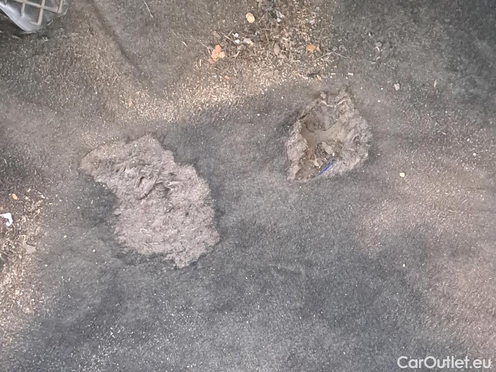  Cupra  Formentor CUPRA  / 2020 / 5P / todoterreno 1.5 TSI 110kW (150 CV) (AC)  #9