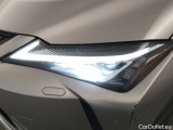  Lexus  UX LEXUS  / 2018 / 5P / todoterreno 2.0 250h Business Navigation (CX) #15