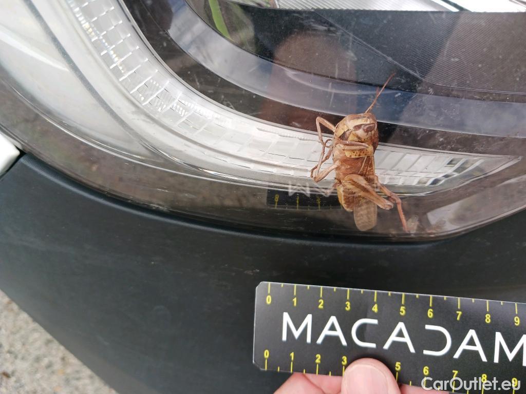  Renault  Master RENAULT  / 2019 / 4P / furgón Furgón T L3H2 3500 Bl dCi 100 kW(135CV) #57