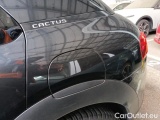  Citroen  C4 Cactus 1.2 PURETECH 110 S&S SHINE #45