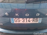 Skoda  Karoq 2.0 TDI 116 BUSINESS #5