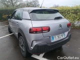 C4 Cactus