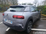 C4 Cactus
