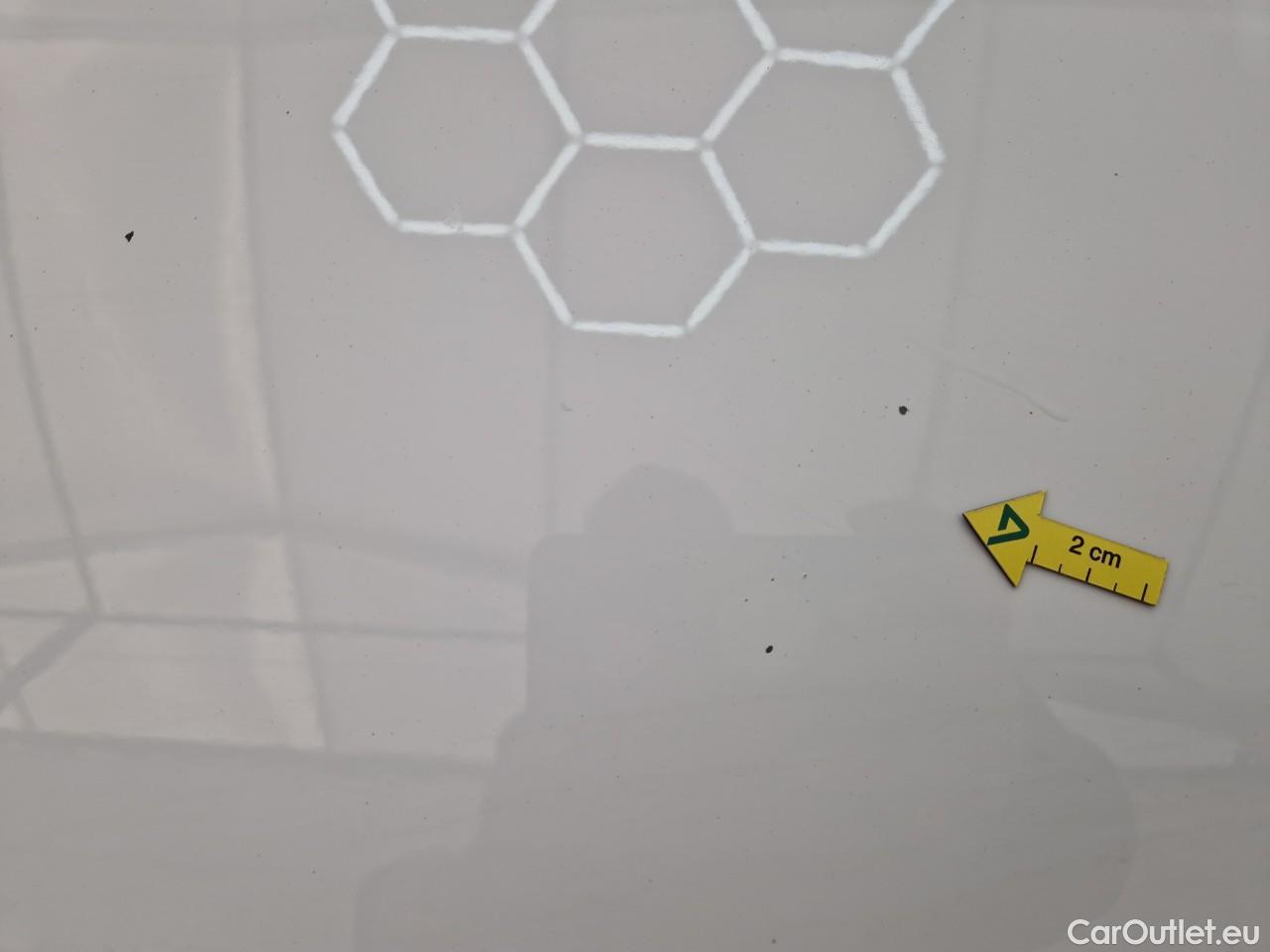  Ford  Fiesta 1.5 TDCi 85CP Trend Connected #13