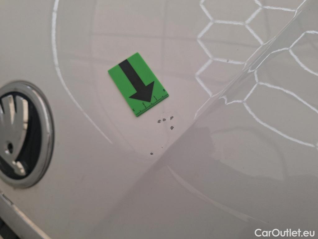  Skoda  Kodiaq 2.0 TDI 150CP Ambition DSG 4x4 #4