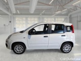  Fiat  Panda FIAT  / 2011 / 5P / BERLINA 1.2 69CV SeS E6D-TEMP EASY #8