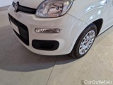  Fiat  Panda FIAT  / 2011 / 5P / BERLINA 1.2 69CV SeS E6D-TEMP EASY #22