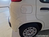  Fiat  Panda FIAT  / 2011 / 5P / BERLINA 1.2 69CV SeS E6D-TEMP EASY #33