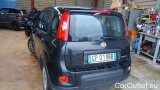  Fiat  Panda 1.0 FireFly 70cv S&S Hybrid #3