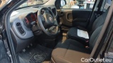  Fiat  Panda 1.0 FireFly 70cv S&S Hybrid #7