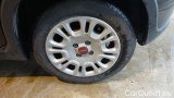  Fiat  Panda 1.0 FireFly 70cv S&S Hybrid #23