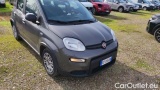  Fiat  Panda 1.0 FireFly 70cv S&S Hybrid #2
