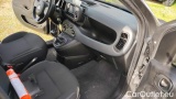  Fiat  Panda 1.0 FireFly 70cv S&S Hybrid #5