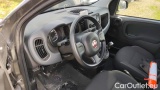  Fiat  Panda 1.0 FireFly 70cv S&S Hybrid #6